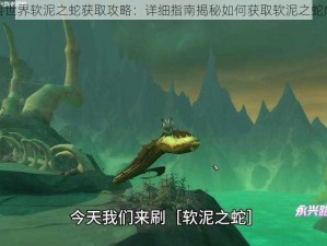 魔兽世界软泥之蛇获取攻略：详细指南揭秘如何获取软泥之蛇成就