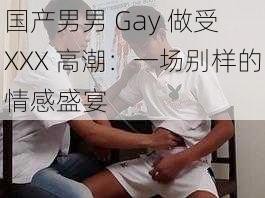 国产男男 Gay 做受 XXX 高潮：一场别样的情感盛宴