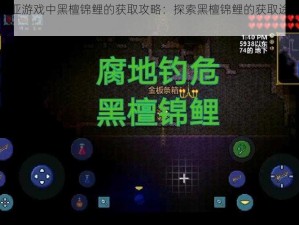 泰拉瑞亚游戏中黑檀锦鲤的获取攻略：探索黑檀锦鲤的获取途径与技巧