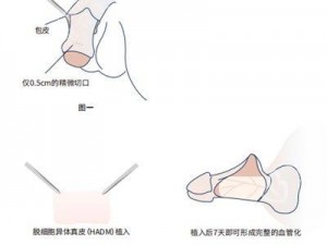 自然增大变粗的方法，让你轻松找回自信