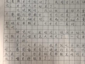 奈的教育日记——记录成长，培养未来之星