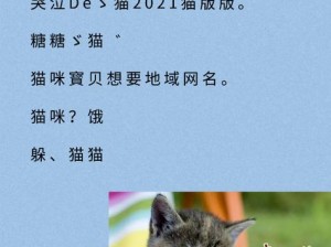 猫咪 wwww 最新地域网名怎么取：一个简单实用的工具，让你轻松找到适合自己的地域网名