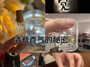 关于侠客香水如何获取的奇妙旅程：秘境探寻与深度解析之旅