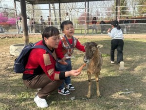 胖胖动物园精彩截图预览：探秘萌宠乐园，尽览欢乐无限时刻