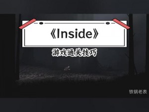 Inside游戏分毫不差攻略：掌握技巧，轻松通关