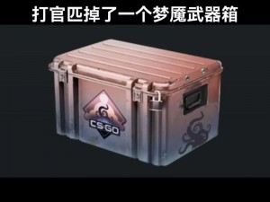 关于武器盲盒的神秘开箱之旅：探索未知的惊喜与挑战