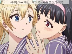 [名称] OVA 番剧：带来精彩绝伦的视觉盛宴