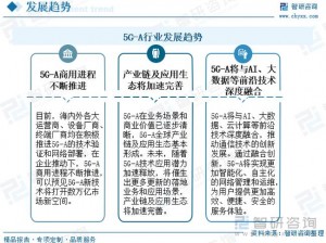 国产www【国产 5Gwww 发展前景如何？】