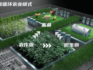 天天农场高效盈利攻略：策略性种植与养殖，实现农场快速赚钱之道