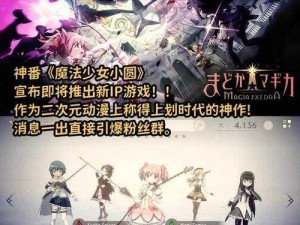 关于魔法少女3D游戏的安装与配置详细说明