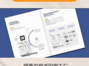 网站 6PL0L 产品介绍：专业、高效、值得信赖