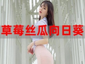 草莓丝瓜榴莲向日葵 18 岁站长统计：汇聚热门视频资源，带来无尽精彩