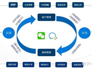 成免费 crm 特色哺乳期，助力企业打造高效客户关系管理体系