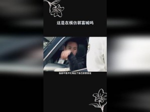 台湾梦梦到粉丝家里在线观看：提供高清画质和流畅体验