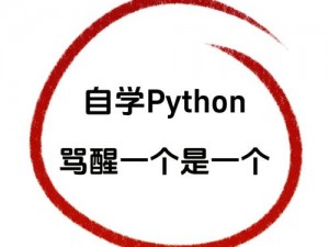 探索PYTHON 人马大战 CSDN背后的神秘产品