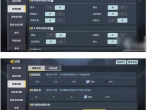 使命召唤手游：优化帧数设置指南，提升游戏体验