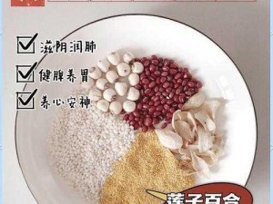 剑网3指尖江湖莲子粥制作秘籍：传统配方与现代烹饪的完美结合