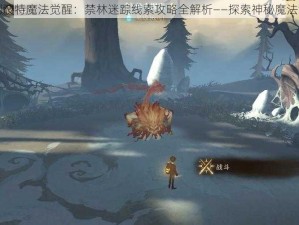 哈利波特魔法觉醒：禁林迷踪线索攻略全解析——探索神秘魔法世界