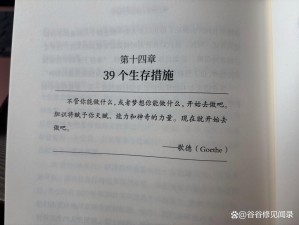 孤胆生存模式秘籍揭秘：攻略技巧大解析与实战应用指南