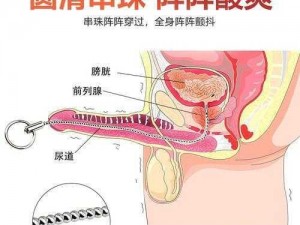 刺激鲁——可调节刺激频率的男性情趣用品