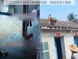 二人生猴子全程全集免费观看：网盘资源大揭秘