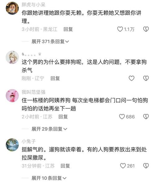 狗带 tv 首页——一款提供丰富视频内容的在线平台