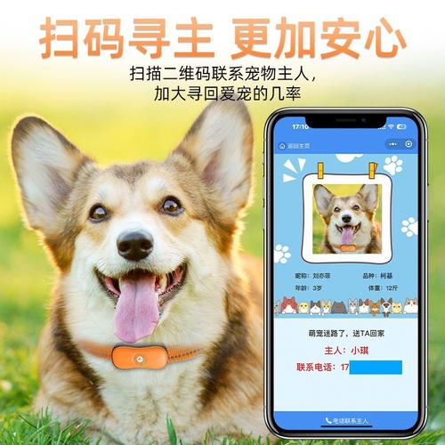 人狗 ZOOM 欢迎你，智能宠物追踪器，精准定位，实时追踪，关爱宠物从现在开始