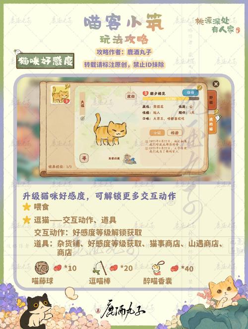 《桃源深处喵客小筑：探索养猫之乐》