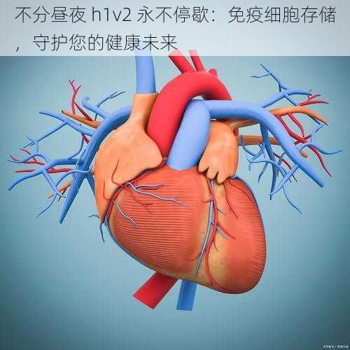 不分昼夜 h1v2 永不停歇：免疫细胞存储，守护您的健康未来