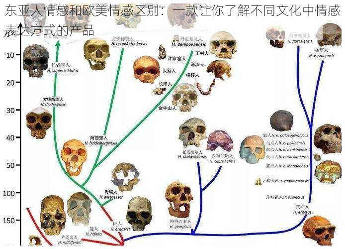 东亚人情感和欧美情感区别：一款让你了解不同文化中情感表达方式的产品