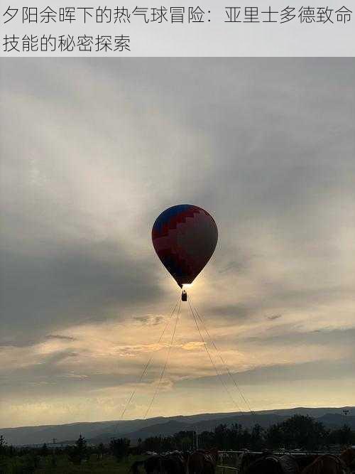 夕阳余晖下的热气球冒险：亚里士多德致命技能的秘密探索