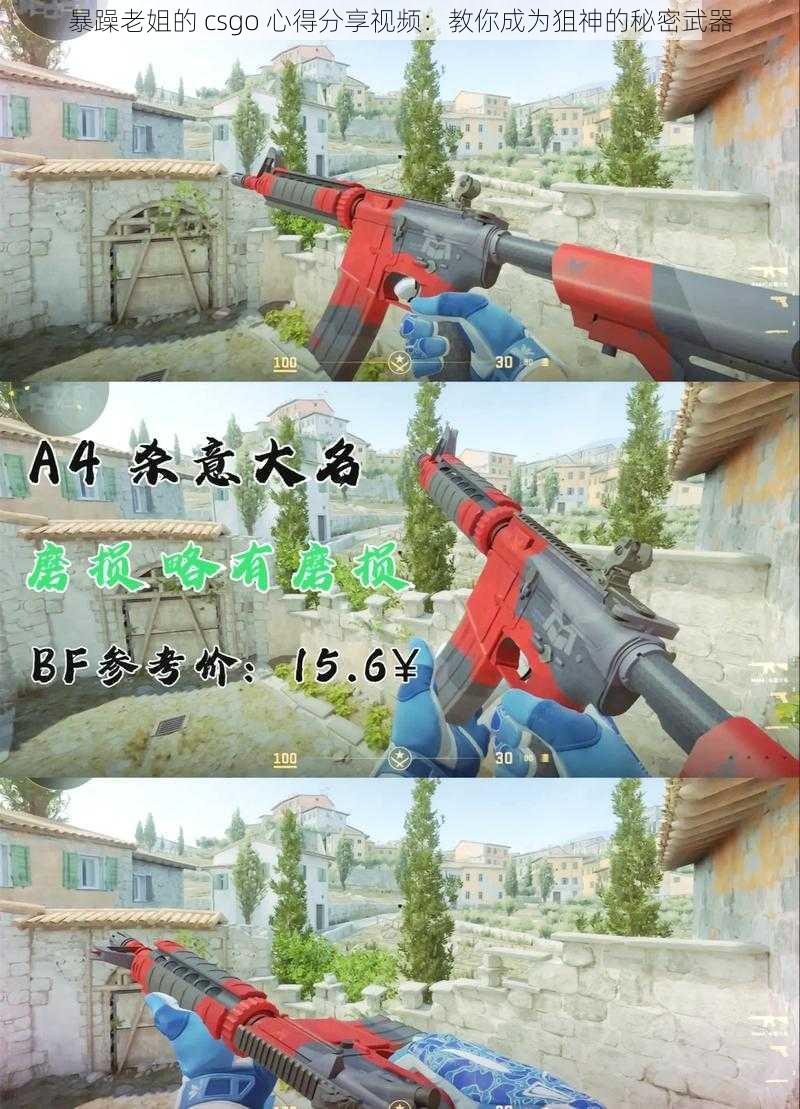 暴躁老姐的 csgo 心得分享视频：教你成为狙神的秘密武器