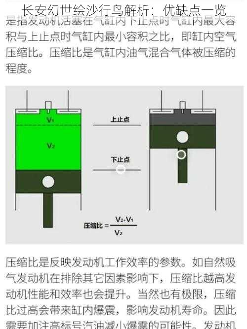 长安幻世绘沙行鸟解析：优缺点一览