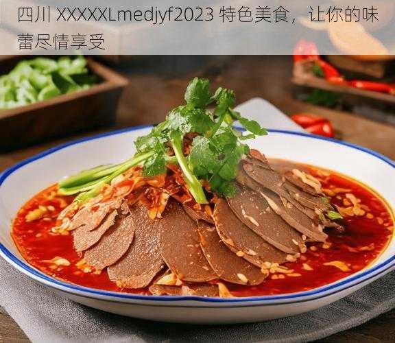 四川 XXXXXLmedjyf2023 特色美食，让你的味蕾尽情享受