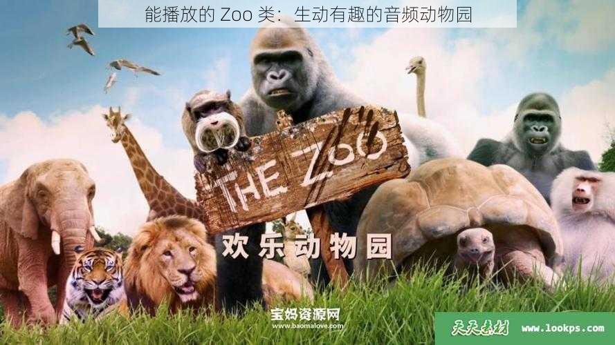 能播放的 Zoo 类：生动有趣的音频动物园