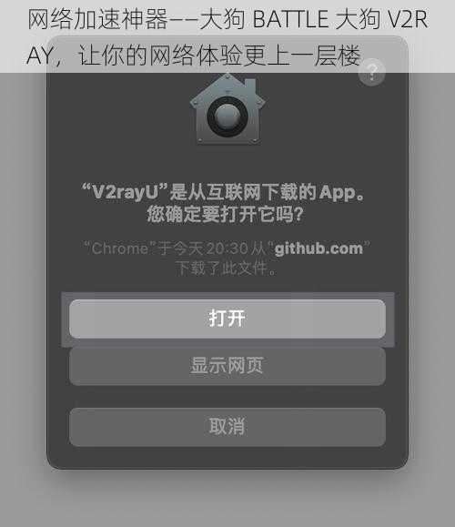 网络加速神器——大狗 BATTLE 大狗 V2RAY，让你的网络体验更上一层楼