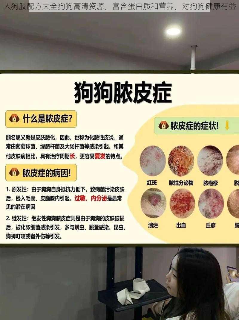 人狗胶配方大全狗狗高清资源，富含蛋白质和营养，对狗狗健康有益