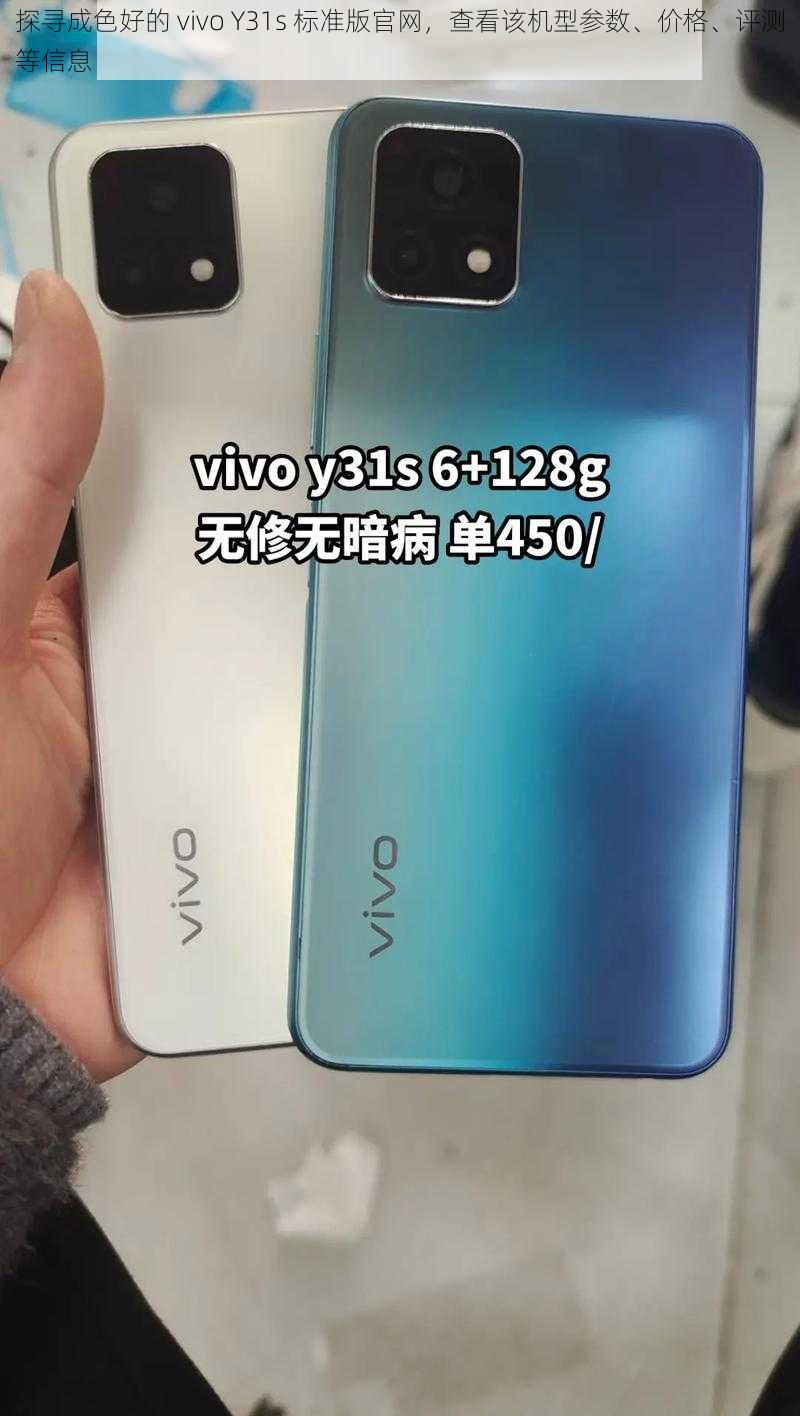 探寻成色好的 vivo Y31s 标准版官网，查看该机型参数、价格、评测等信息