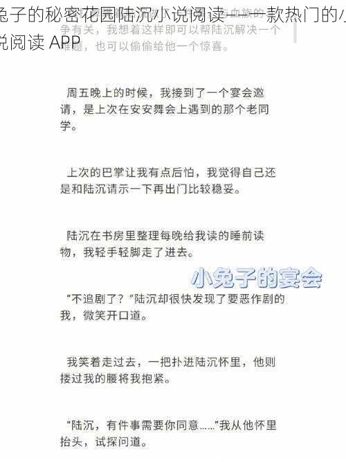 兔子的秘密花园陆沉小说阅读——一款热门的小说阅读 APP