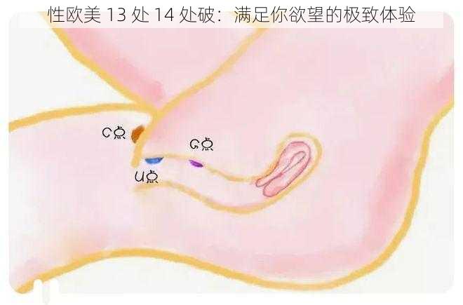 性欧美 13 处 14 处破：满足你欲望的极致体验