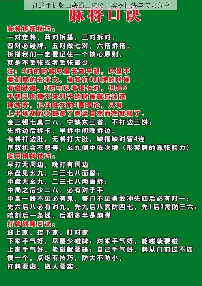 征途手机版山寨霸王攻略：实战打法与技巧分享