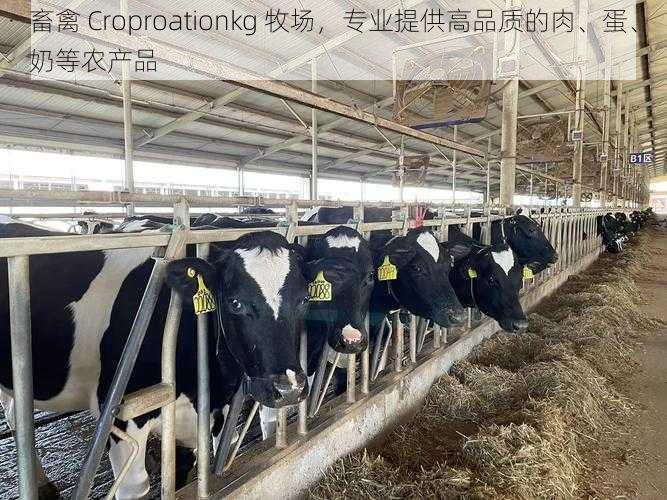 畜禽 Croproationkg 牧场，专业提供高品质的肉、蛋、奶等农产品