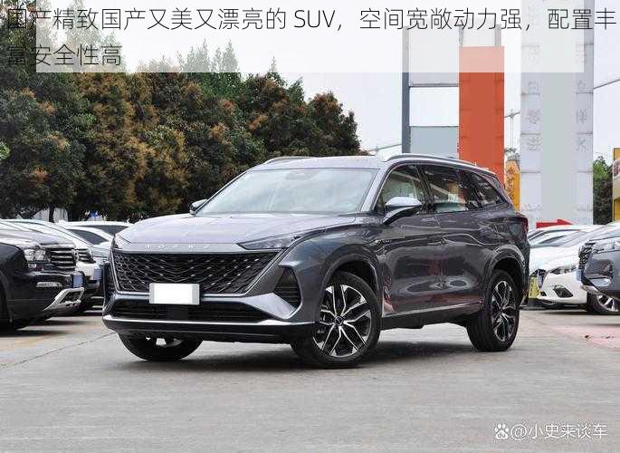 国产精致国产又美又漂亮的 SUV，空间宽敞动力强，配置丰富安全性高