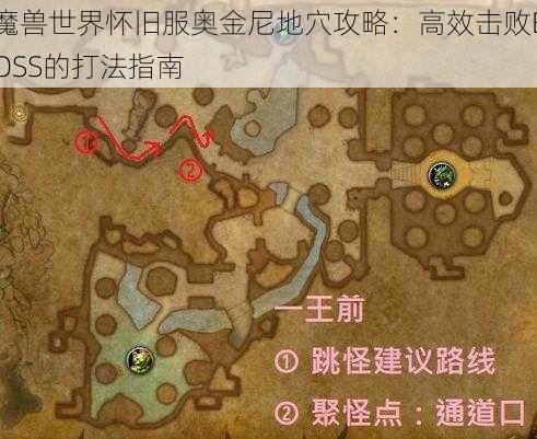 魔兽世界怀旧服奥金尼地穴攻略：高效击败BOSS的打法指南