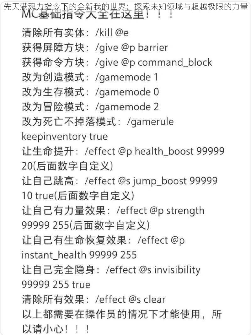 先天满魂力指令下的全新我的世界：探索未知领域与超越极限的力量