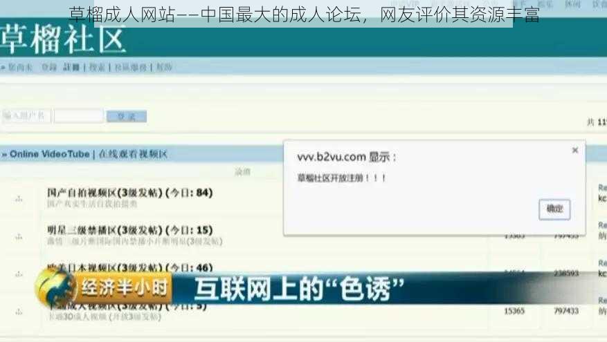 草榴成人网站——中国最大的成人论坛，网友评价其资源丰富