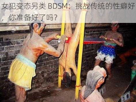 女犯变态另类 BDSM：挑战传统的性癖好，你准备好了吗？