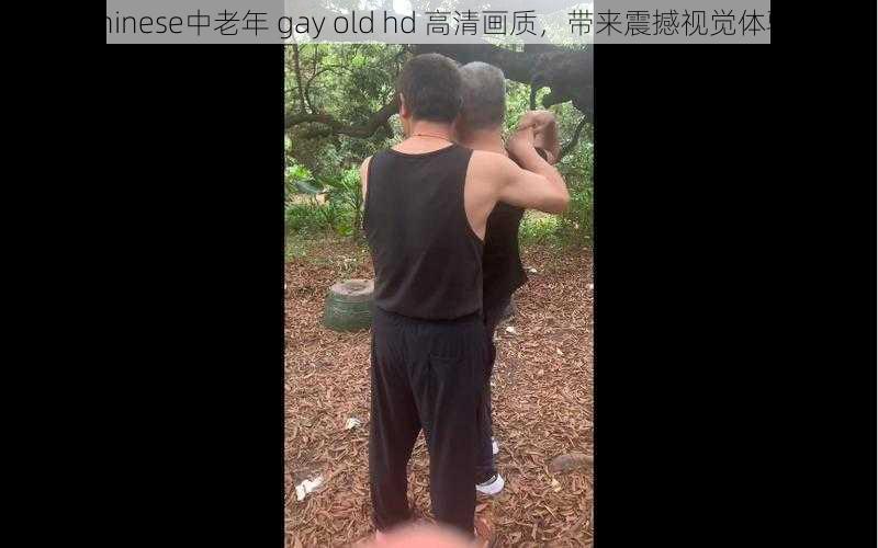 chinese中老年 gay old hd 高清画质，带来震撼视觉体验