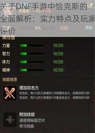 关于DNF手游中恰克斯的全面解析：实力特点及玩家评价