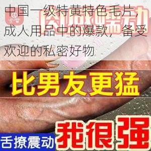 中国一级特黄特色毛片，成人用品中的爆款，备受欢迎的私密好物